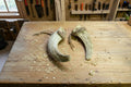 Horn Knochen