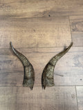 Ziegen Bock Hörner nr.2